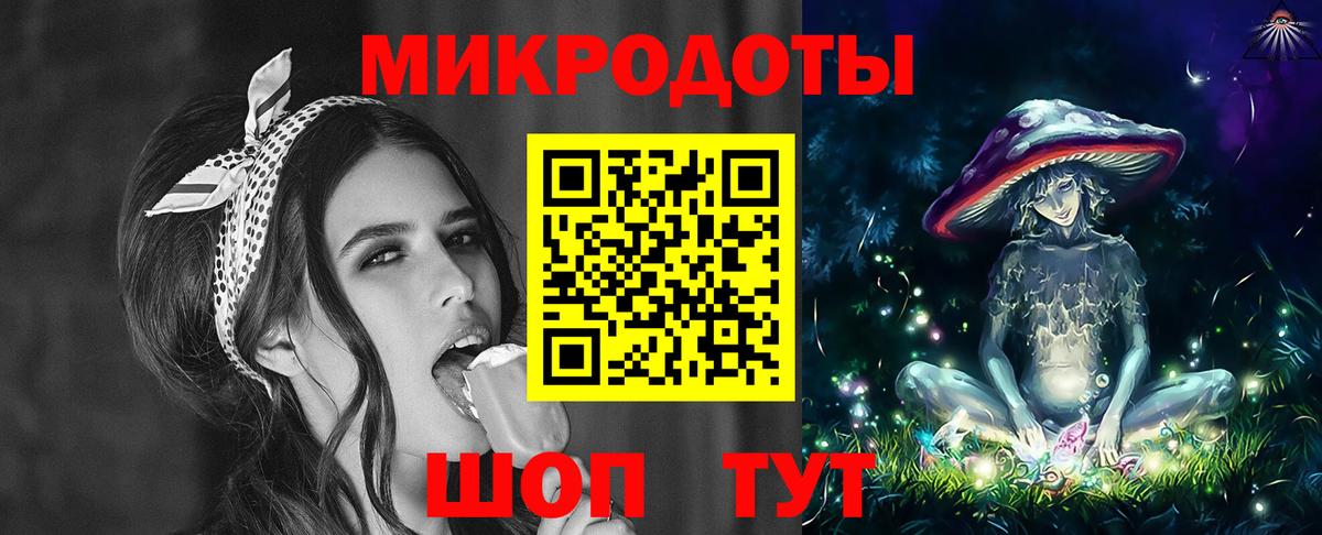где купить наркотик  Псилоцибиновые грибы прущие грибы  Вход с VPN  Салехард 