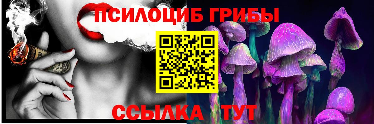 Галлюциногенные грибы Psilocybe Салехард